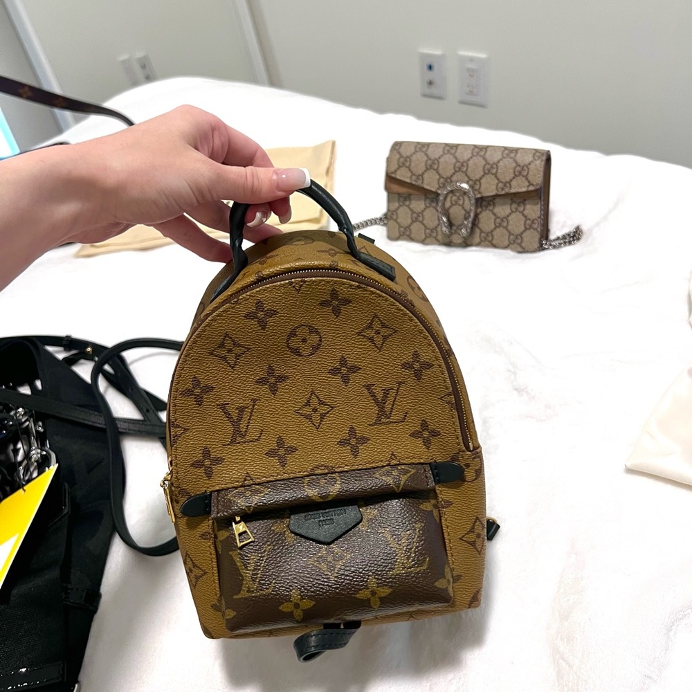 Louis Vuitton- Palm Springs mini backpack authentic with box